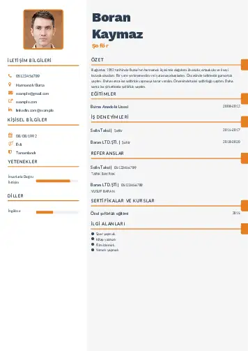 Şoför Cv Örnekleri cv indir